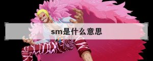 sm是什么意思（sm是什么缩写）看最鲜网，看新知识-提供各类互联网项目，互联网副业，职场技能课程，股票期货投资, 校园课程，升学考试等有价值的知识看最鲜网，看新知识