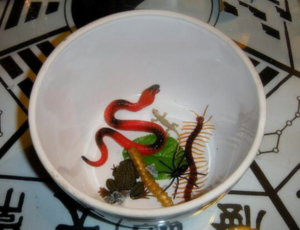 蛊虫真实存在吗（蛊虫是什么意思）看最鲜网，看新知识-提供各类互联网项目，互联网副业，职场技能课程，股票期货投资, 校园课程，升学考试等有价值的知识看最鲜网，看新知识