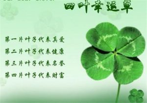 四叶草的寓意和象征（四叶草代表了什么）看最鲜网，看新知识-提供各类互联网项目，互联网副业，职场技能课程，股票期货投资, 校园课程，升学考试等有价值的知识看最鲜网，看新知识