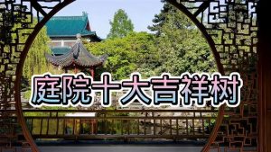 庭院十大吉祥树排名（庭院栽什么树最旺宅）看最鲜网，看新知识-提供各类互联网项目，互联网副业，职场技能课程，股票期货投资, 校园课程，升学考试等有价值的知识看最鲜网，看新知识