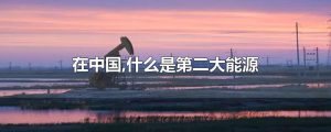中国第二大能源是什么（石油是中国第几大能源）看最鲜网，看新知识-提供各类互联网项目，互联网副业，职场技能课程，股票期货投资, 校园课程，升学考试等有价值的知识看最鲜网，看新知识