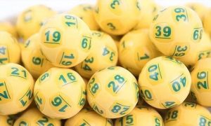 胆拖是什么意思看最鲜网，看新知识-提供各类互联网项目，互联网副业，职场技能课程，股票期货投资, 校园课程，升学考试等有价值的知识看最鲜网，看新知识