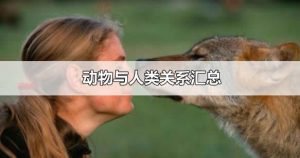 动物和人的关系是什么（人和动物之间有什么关系）看最鲜网，看新知识-提供各类互联网项目，互联网副业，职场技能课程，股票期货投资, 校园课程，升学考试等有价值的知识看最鲜网，看新知识