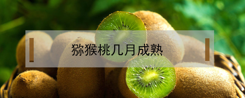 猕猴桃成熟季节是几月份（几月份的猕猴桃最好吃）看最鲜网，看新知识-提供各类互联网项目，互联网副业，职场技能课程，股票期货投资, 校园课程，升学考试等有价值的知识看最鲜网，看新知识
