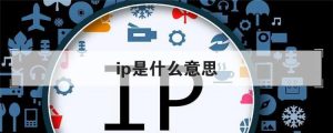 ip是什么意思呢（什么是 IP）看最鲜网，看新知识-提供各类互联网项目，互联网副业，职场技能课程，股票期货投资, 校园课程，升学考试等有价值的知识看最鲜网，看新知识