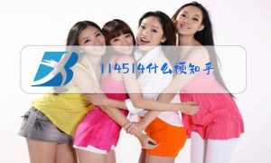 114514什么梗（114514什么意思）看最鲜网，看新知识-提供各类互联网项目，互联网副业，职场技能课程，股票期货投资, 校园课程，升学考试等有价值的知识看最鲜网，看新知识