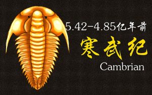 寒武纪是什么时代（寒武纪为啥叫寒武纪）看最鲜网，看新知识-提供各类互联网项目，互联网副业，职场技能课程，股票期货投资, 校园课程，升学考试等有价值的知识看最鲜网，看新知识