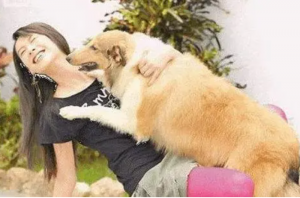 鬣狗为女孩净身是什么意思（鬣狗给女孩净身仪式）看最鲜网，看新知识-提供各类互联网项目，互联网副业，职场技能课程，股票期货投资, 校园课程，升学考试等有价值的知识看最鲜网，看新知识