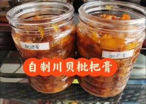 枇杷膏熬制方法（自制枇杷膏的熬制方法）看最鲜网，看新知识-提供各类互联网项目，互联网副业，职场技能课程，股票期货投资, 校园课程，升学考试等有价值的知识看最鲜网，看新知识