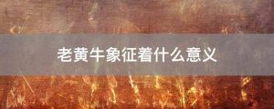老黄牛是什么意思 （老黄牛指哪一类人）看最鲜网，看新知识-提供各类互联网项目，互联网副业，职场技能课程，股票期货投资, 校园课程，升学考试等有价值的知识看最鲜网，看新知识