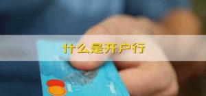 开户行是什么意思（开户行一般怎么填写）看最鲜网，看新知识-提供各类互联网项目，互联网副业，职场技能课程，股票期货投资, 校园课程，升学考试等有价值的知识看最鲜网，看新知识