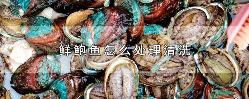 鲍鱼怎么处理干净（鲍鱼如何清洗才能干净）看最鲜网，看新知识-提供各类互联网项目，互联网副业，职场技能课程，股票期货投资, 校园课程，升学考试等有价值的知识看最鲜网，看新知识