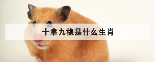 十拿九稳是什么生肖（十拿九稳解一个生肖）看最鲜网，看新知识-提供各类互联网项目，互联网副业，职场技能课程，股票期货投资, 校园课程，升学考试等有价值的知识看最鲜网，看新知识