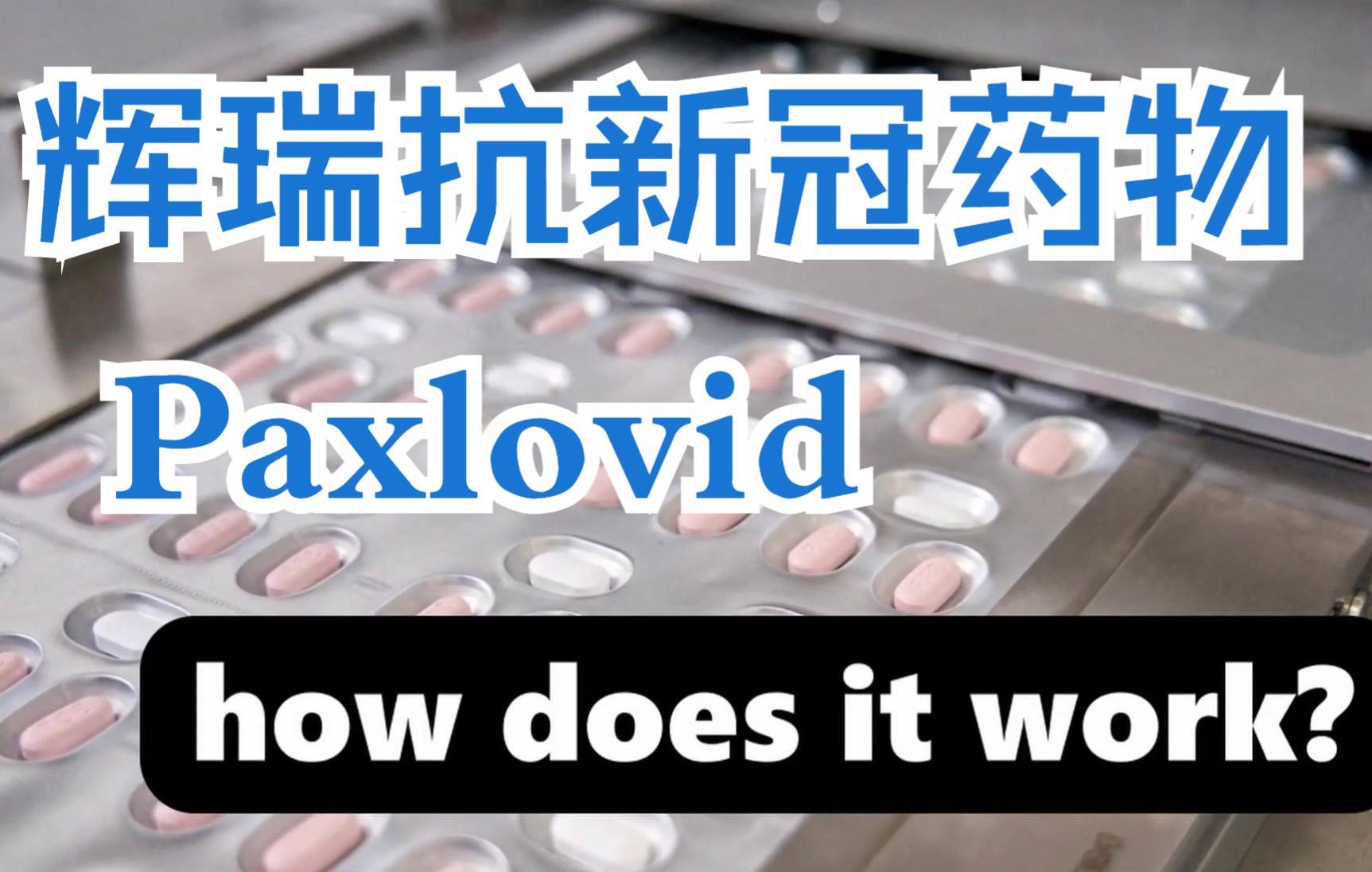 辉瑞“新冠神药”疗效究竟如何看最鲜网，看新知识-提供各类互联网项目，互联网副业，职场技能课程，股票期货投资, 校园课程，升学考试等有价值的知识看最鲜网，看新知识