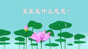 夏至是什么意思（夏至是进入夏天了吗）看最鲜网，看新知识-提供各类互联网项目，互联网副业，职场技能课程，股票期货投资, 校园课程，升学考试等有价值的知识看最鲜网，看新知识