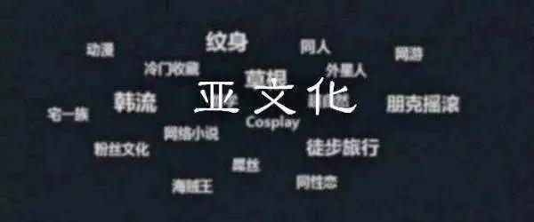 亚文化是什么意思（哪些文化属于亚文化）看最鲜网，看新知识-提供各类互联网项目，互联网副业，职场技能课程，股票期货投资, 校园课程，升学考试等有价值的知识看最鲜网，看新知识