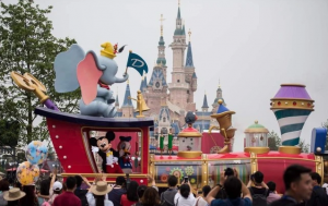 上海迪士尼15岁的孩子能单独购票去吗看最鲜网，看新知识-提供各类互联网项目，互联网副业，职场技能课程，股票期货投资, 校园课程，升学考试等有价值的知识看最鲜网，看新知识