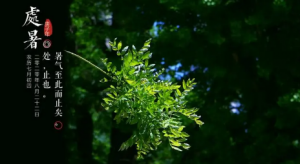 2023年处暑过后天气还热吗看最鲜网，看新知识-提供各类互联网项目，互联网副业，职场技能课程，股票期货投资, 校园课程，升学考试等有价值的知识看最鲜网，看新知识