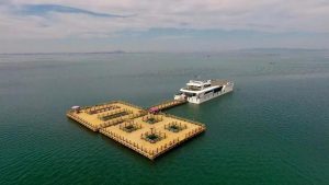 海洋牧场是什么意思（海洋牧场分为哪几种）看最鲜网，看新知识-提供各类互联网项目，互联网副业，职场技能课程，股票期货投资, 校园课程，升学考试等有价值的知识看最鲜网，看新知识