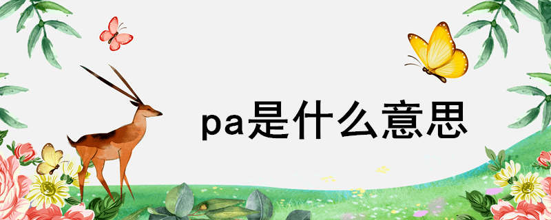 pa是什么意思（pa代表啥）看最鲜网，看新知识-提供各类互联网项目，互联网副业，职场技能课程，股票期货投资, 校园课程，升学考试等有价值的知识看最鲜网，看新知识