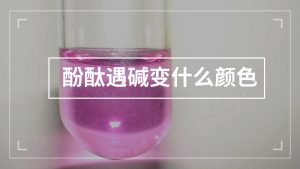 酚酞遇碱变什么颜色（酚酞先变红后褪色的原因）看最鲜网，看新知识-提供各类互联网项目，互联网副业，职场技能课程，股票期货投资, 校园课程，升学考试等有价值的知识看最鲜网，看新知识