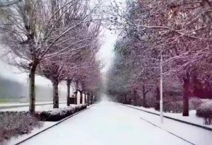 一片片雪花飘飘洒洒的像什么一样（雪花飘飘洒洒像什么）看最鲜网，看新知识-提供各类互联网项目，互联网副业，职场技能课程，股票期货投资, 校园课程，升学考试等有价值的知识看最鲜网，看新知识