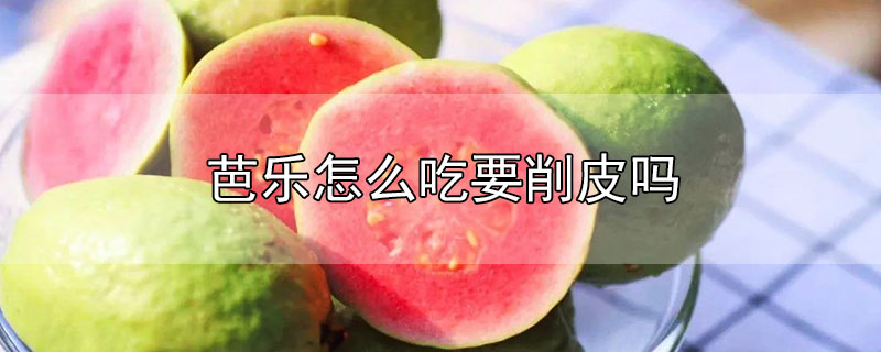 芭乐果的正确吃法（芭乐果软了吃还是硬着吃）看最鲜网，看新知识-提供各类互联网项目，互联网副业，职场技能课程，股票期货投资, 校园课程，升学考试等有价值的知识看最鲜网，看新知识