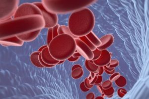 血小板分布宽度偏低是什么意思看最鲜网，看新知识-提供各类互联网项目，互联网副业，职场技能课程，股票期货投资, 校园课程，升学考试等有价值的知识看最鲜网，看新知识