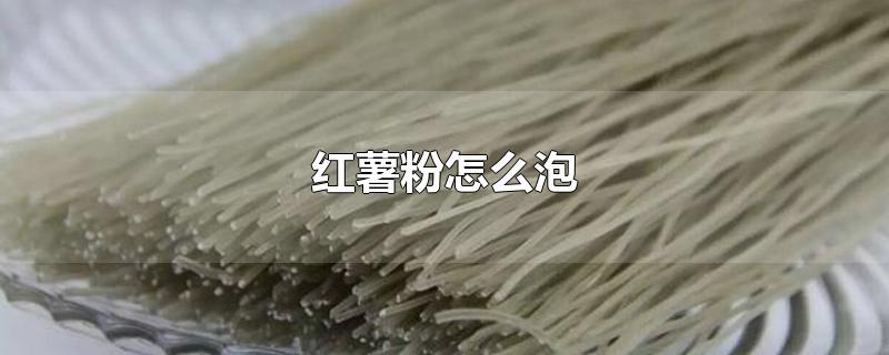 红薯粉用开水泡还是冷水泡好（干红薯粉用冷水泡还是热水泡）看最鲜网，看新知识-提供各类互联网项目，互联网副业，职场技能课程，股票期货投资, 校园课程，升学考试等有价值的知识看最鲜网，看新知识