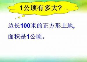 一公顷是多少平方米（一公顷等于多少平方米）看最鲜网，看新知识-提供各类互联网项目，互联网副业，职场技能课程，股票期货投资, 校园课程，升学考试等有价值的知识看最鲜网，看新知识