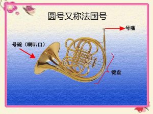 法国号又叫什么号（法国号又叫什么名字?）看最鲜网，看新知识-提供各类互联网项目，互联网副业，职场技能课程，股票期货投资, 校园课程，升学考试等有价值的知识看最鲜网，看新知识