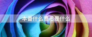 本番在日语里的意思（本番什么意思啊）看最鲜网，看新知识-提供各类互联网项目，互联网副业，职场技能课程，股票期货投资, 校园课程，升学考试等有价值的知识看最鲜网，看新知识