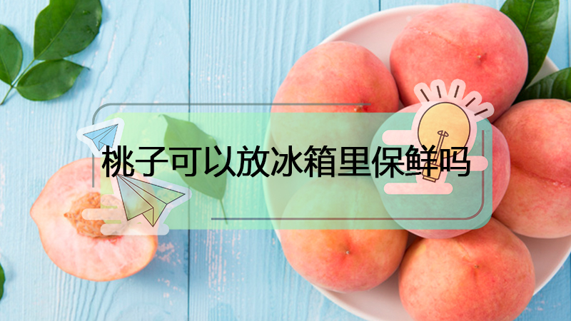 桃子可以放冰箱冷藏吗（桃子冰箱里可以保存吗）看最鲜网，看新知识-提供各类互联网项目，互联网副业，职场技能课程，股票期货投资, 校园课程，升学考试等有价值的知识看最鲜网，看新知识