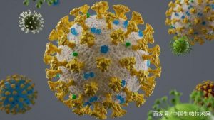 新冠病毒“北强南弱”看最鲜网，看新知识-提供各类互联网项目，互联网副业，职场技能课程，股票期货投资, 校园课程，升学考试等有价值的知识看最鲜网，看新知识