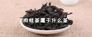 肉桂茶属于什么茶（肉桂茶属于什么茶功效）看最鲜网，看新知识-提供各类互联网项目，互联网副业，职场技能课程，股票期货投资, 校园课程，升学考试等有价值的知识看最鲜网，看新知识