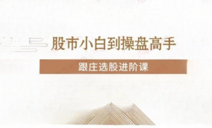 投机大拿跟庄选股进阶课看最鲜网，看新知识-提供各类互联网项目，互联网副业，职场技能课程，股票期货投资, 校园课程，升学考试等有价值的知识看最鲜网，看新知识