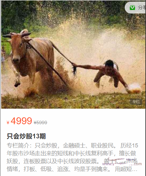 只会炒股13期， 只会炒股13期看最鲜网，看新知识-提供各类互联网项目，互联网副业，职场技能课程，股票期货投资, 校园课程，升学考试等有价值的知识看最鲜网，看新知识