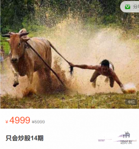 股哥训练营 只会炒股14期看最鲜网，看新知识-提供各类互联网项目，互联网副业，职场技能课程，股票期货投资, 校园课程，升学考试等有价值的知识看最鲜网，看新知识