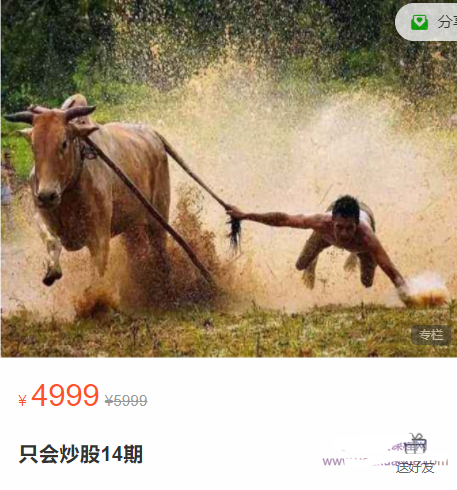 股哥训练营 只会炒股14期看最鲜网，看新知识-提供各类互联网项目，互联网副业，职场技能课程，股票期货投资, 校园课程，升学考试等有价值的知识看最鲜网，看新知识