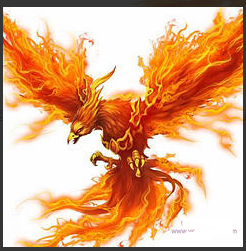 不死鸟韦一主板反包竞价战法+5日黄金复盘 PDF文档看最鲜网，看新知识-提供各类互联网项目，互联网副业，职场技能课程，股票期货投资, 校园课程，升学考试等有价值的知识看最鲜网，看新知识