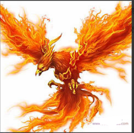 不死鸟韦一6.19月月翻倍的最优低吸战法 PDF文档看最鲜网，看新知识-提供各类互联网项目，互联网副业，职场技能课程，股票期货投资, 校园课程，升学考试等有价值的知识看最鲜网，看新知识