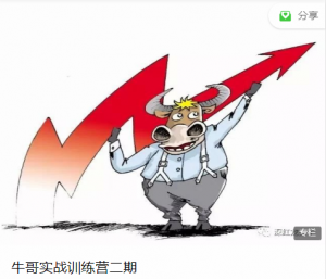 牛哥实战训练营 第二期看最鲜网，看新知识-提供各类互联网项目，互联网副业，职场技能课程，股票期货投资, 校园课程，升学考试等有价值的知识看最鲜网，看新知识