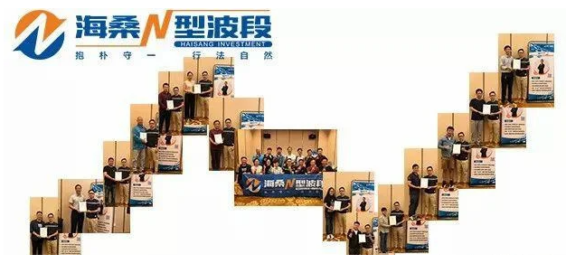 海桑 陈金辉2020年《职业操盘手 全年交易揭秘》期货课程看最鲜网，看新知识-提供各类互联网项目，互联网副业，职场技能课程，股票期货投资, 校园课程，升学考试等有价值的知识看最鲜网，看新知识