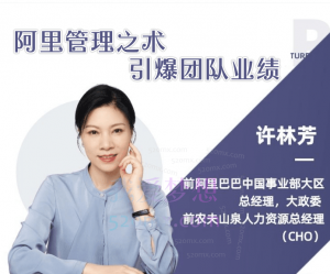 许林芳《阿里管理之术：引爆团队业绩》看最鲜网，看新知识-提供各类互联网项目，互联网副业，职场技能课程，股票期货投资, 校园课程，升学考试等有价值的知识看最鲜网，看新知识