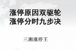 三湘涨停王：涨停狙击手特训班 共6课看最鲜网，看新知识-提供各类互联网项目，互联网副业，职场技能课程，股票期货投资, 校园课程，升学考试等有价值的知识看最鲜网，看新知识
