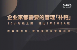 陈春花—中国企业数字化转型必修课看最鲜网，看新知识-提供各类互联网项目，互联网副业，职场技能课程，股票期货投资, 校园课程，升学考试等有价值的知识看最鲜网，看新知识