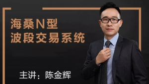 海桑（陈金辉）：N型波段交易系统 期货课程看最鲜网，看新知识-提供各类互联网项目，互联网副业，职场技能课程，股票期货投资, 校园课程，升学考试等有价值的知识看最鲜网，看新知识