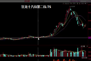 狂龙十八段资金流2016年龙大龙妈合集看最鲜网，看新知识-提供各类互联网项目，互联网副业，职场技能课程，股票期货投资, 校园课程，升学考试等有价值的知识看最鲜网，看新知识
