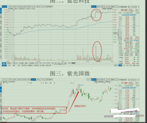 什姐独创资金复盘 PDF文档看最鲜网,看新知识-提供各类互联网项目,互联网副业,职场技能课程,股票期货投资, 校园课程,升学考试等有价值的知识看最鲜网,看新知识