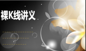 裸K线讲义, 裸K线讲义看最鲜网，看新知识-提供各类互联网项目，互联网副业，职场技能课程，股票期货投资, 校园课程，升学考试等有价值的知识看最鲜网，看新知识